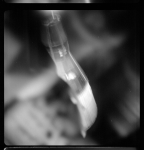 GT-6-65443-008_G06-U