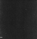 GT-6-65443-057_G06-U