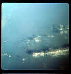 S66-38320_G09-H