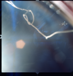 S66-38513_G09-M