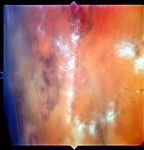 S66-38556_G09-M