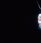 S66-62774_G12-M