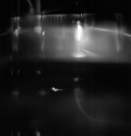s66-63617_G12-U