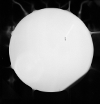 s66-63641_G12-U