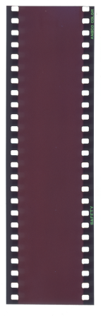 MA-9-item13-016